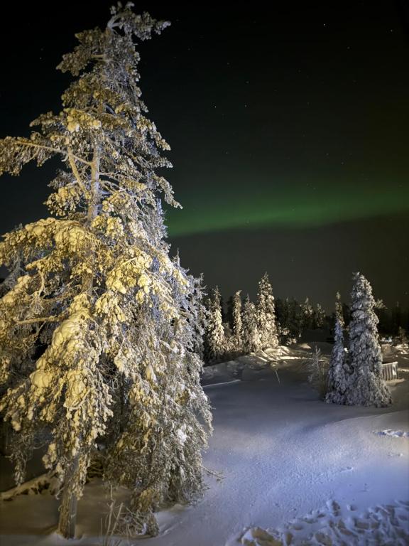 AuroraLevi Suites Utsuvaara Northern Lights Retreat, Ski-In-out, 2 ski pass included to price - Apartamento Con Vistas A La Montaña