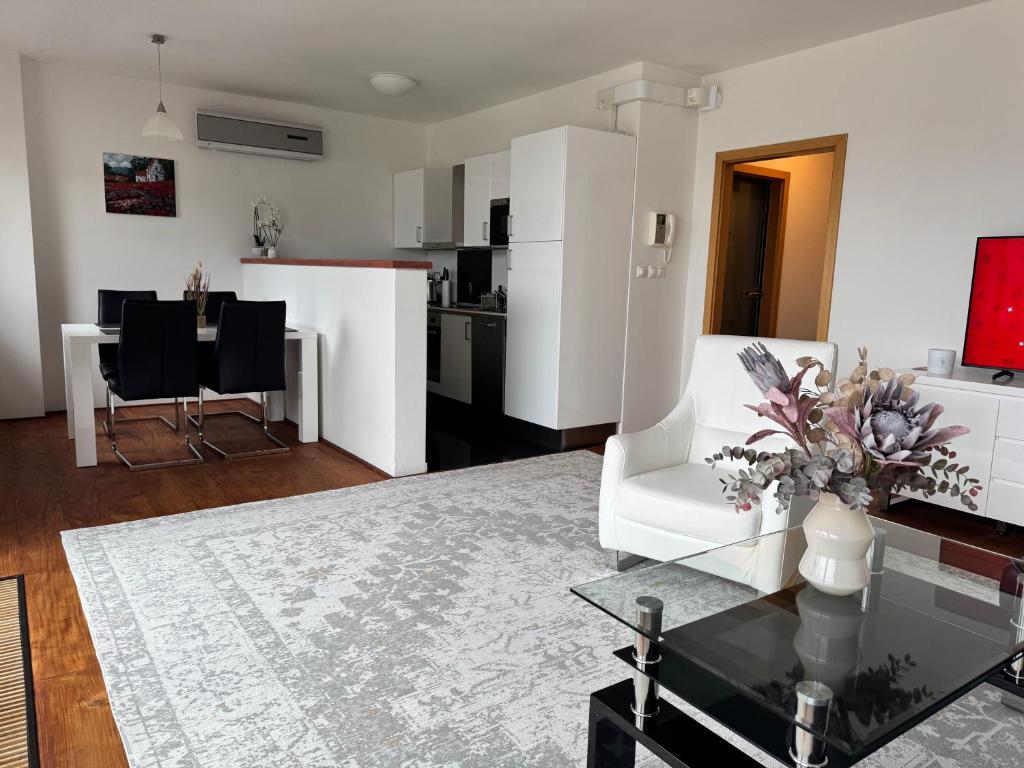 TV a/nebo společenská místnost v ubytování Magic View Apartman Vyhlidka