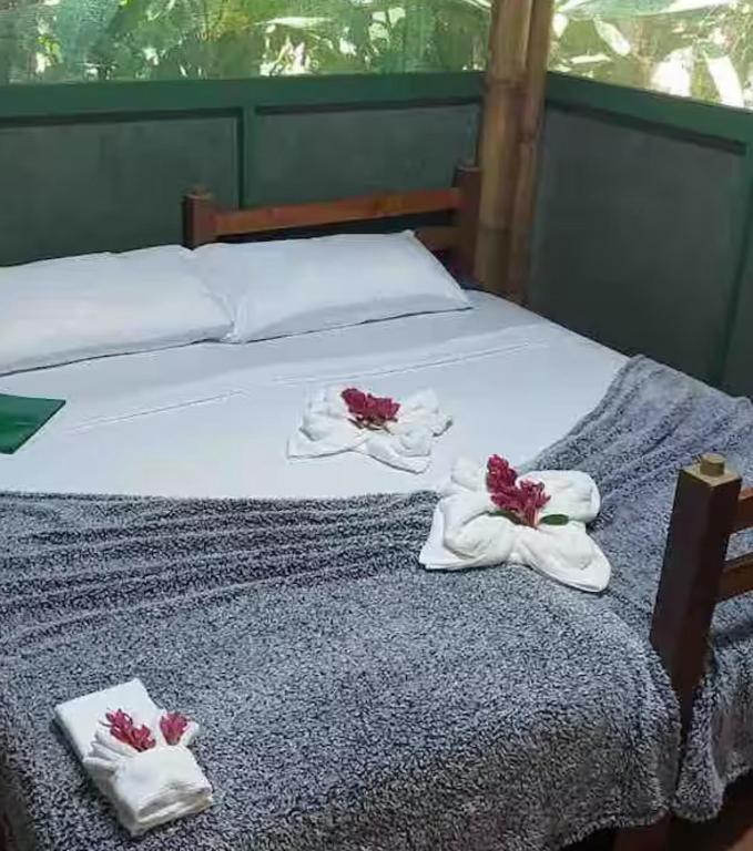 Fotografie z fotogalerie ubytování Glamping by the River v destinaci Puerto Jiménez