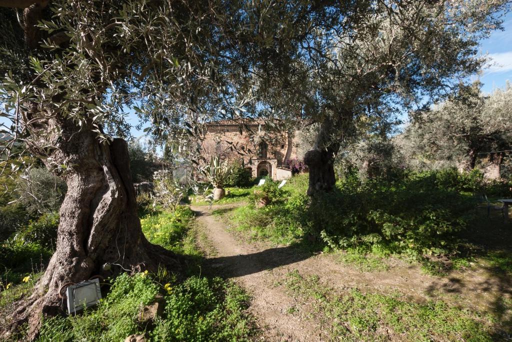 Zahrada ubytování Casa Migliaca