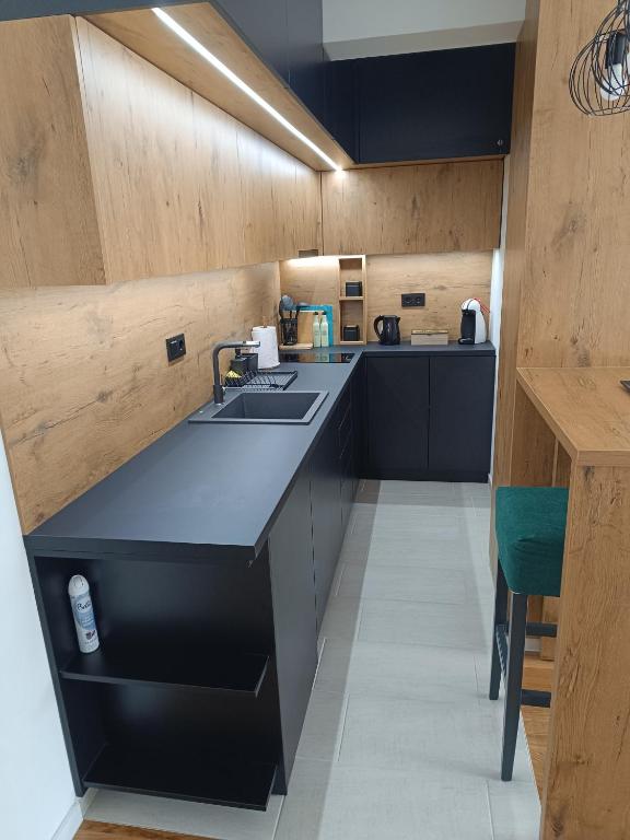a kitchen with a sink and a counter top at Stan na dan Nina Plus - Pale Centar in Pale