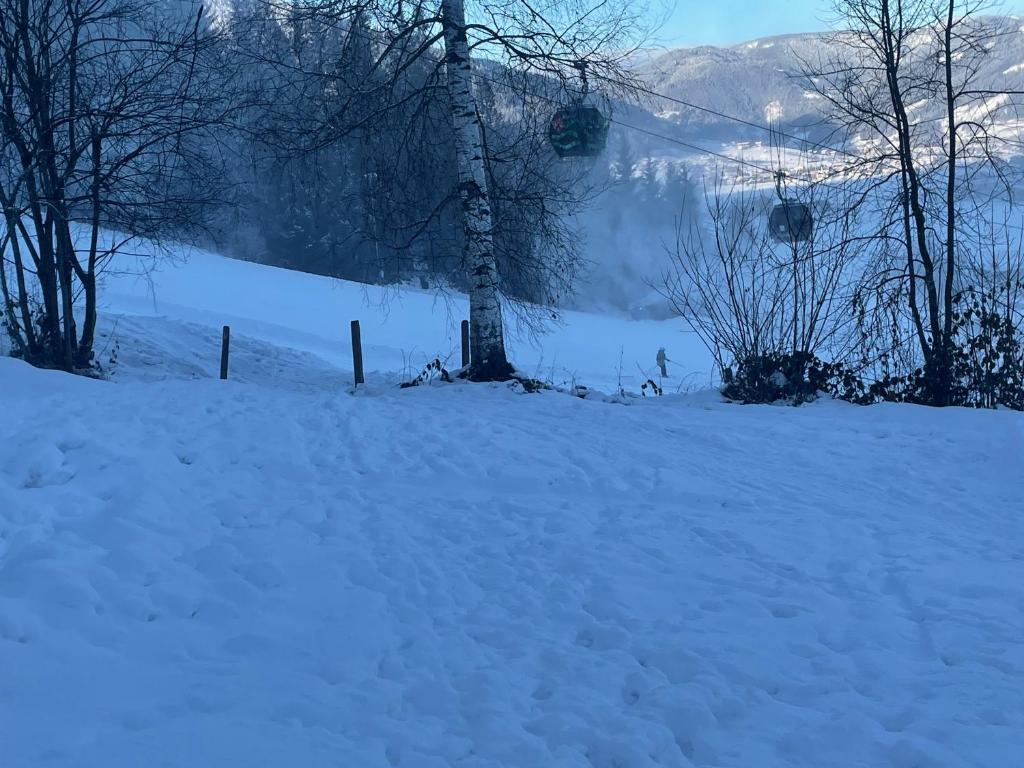 Fotografia z galérie ubytovania Ferienhaus Oberberg vo Flachau