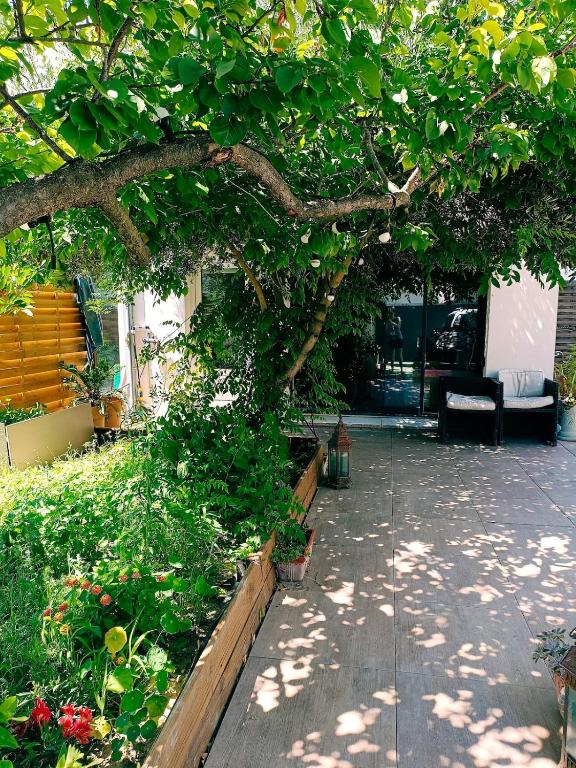 un jardin avec un arbre, un banc et des fleurs dans l'établissement Loft atypique, au calme, à Montpellier