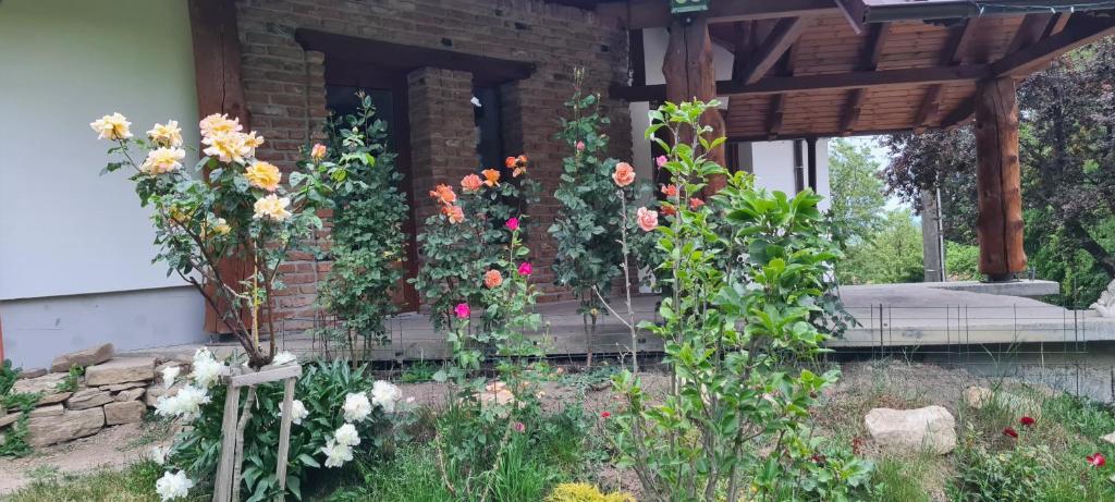 Zahrada ubytování Rustic Dreams-Dobolii de Sus