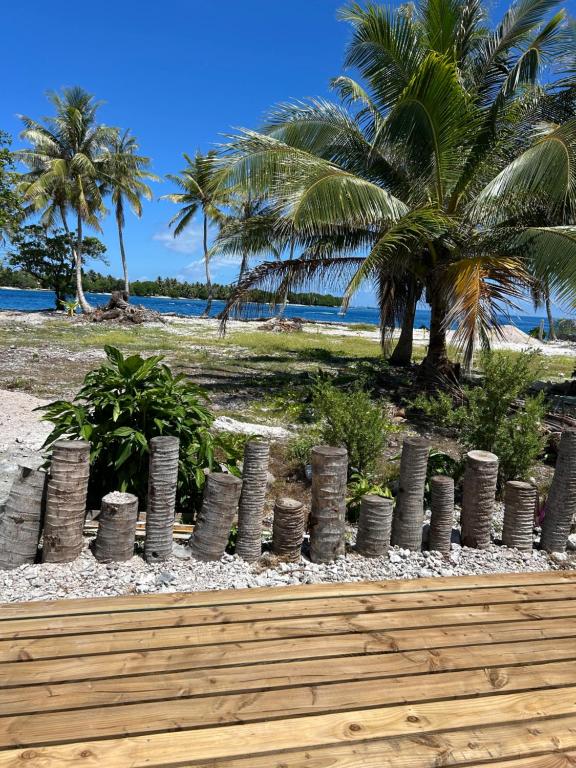 Dôme sur la Passe de Tiputa, Rangiroa - photo 5 - Rangiroa, Polynésie