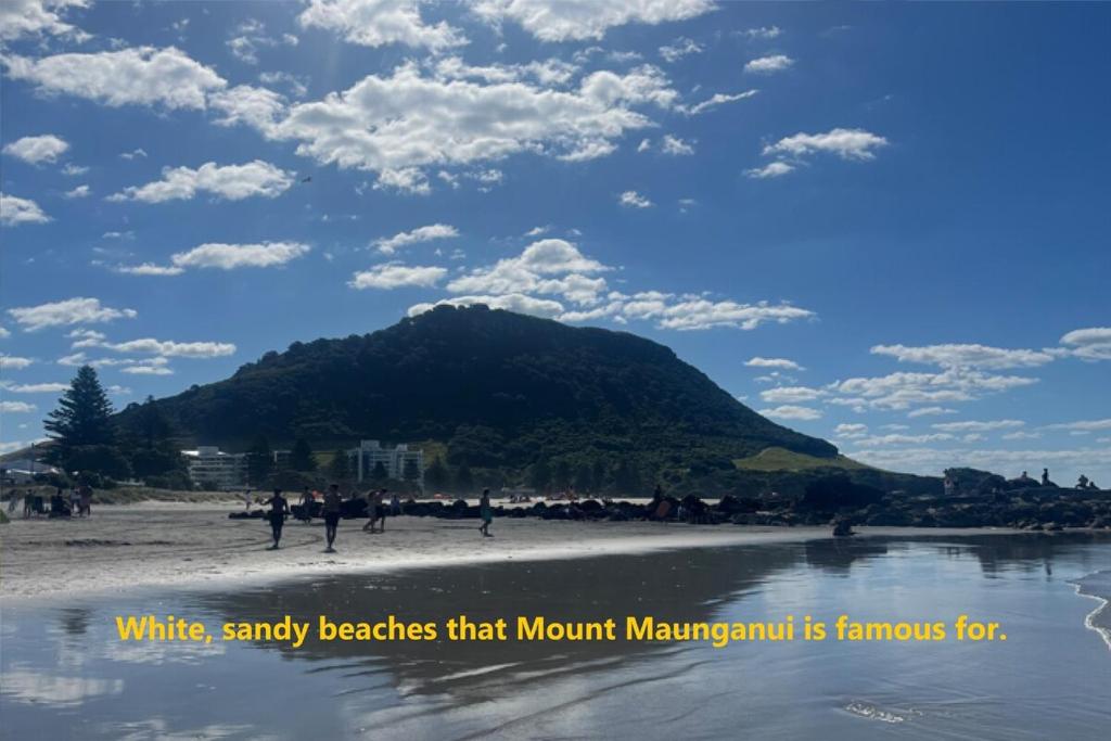 Holiday Home on Iconic Tay St Location 3 bedrooms - Resim 17