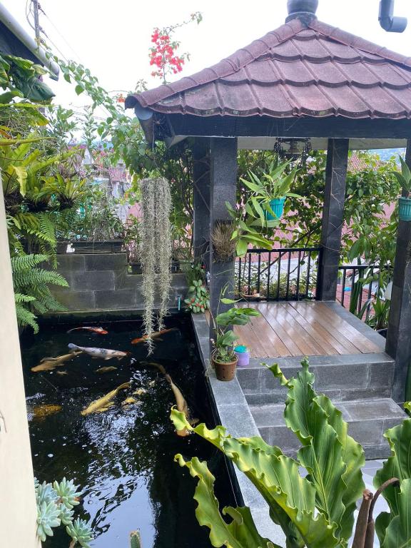 Zahrada ubytování Moza House Wonosobo