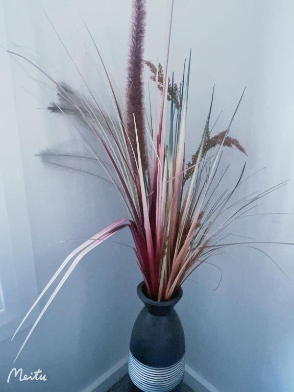 Home in Church corner - Resim 32