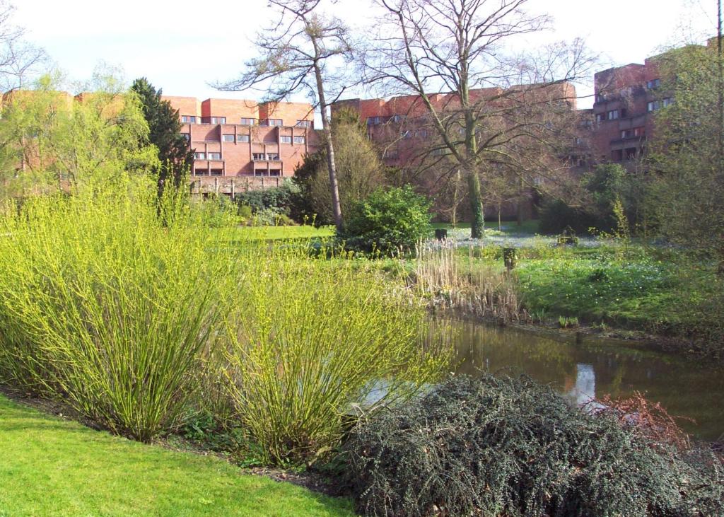 a park with a pond and tall grass and buildings at Robinson College - University of Cambridge in Cambridge