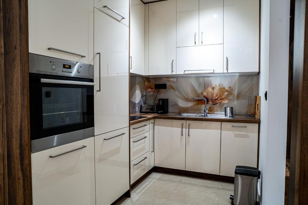 Kuchyň nebo kuchyňský kout v ubytování Brilijant Apartman