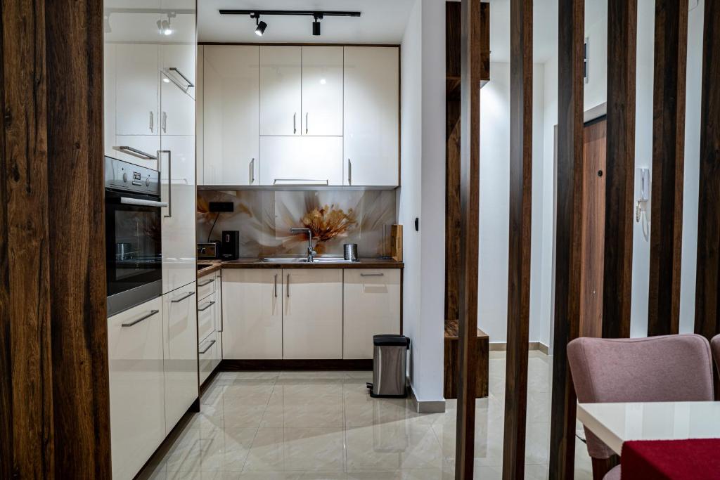Kuchyň nebo kuchyňský kout v ubytování Brilijant Apartman