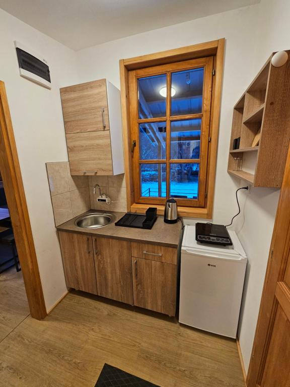 Kuchyň nebo kuchyňský kout v ubytování Apartments Ostojic