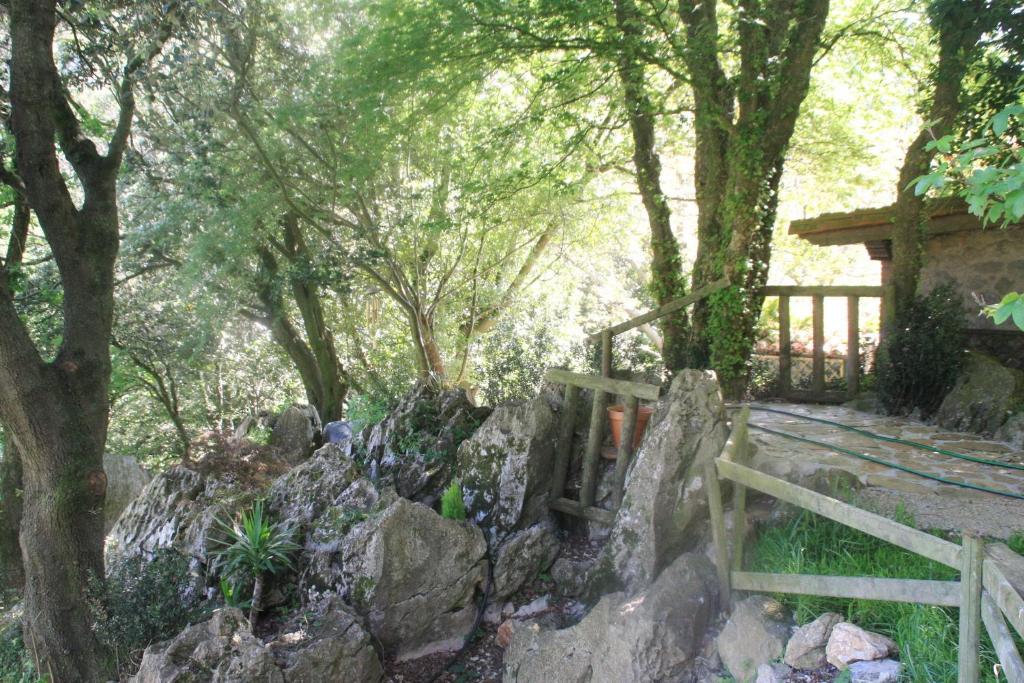 Zahrada ubytování DomoCantabria, Cúpula experiencias