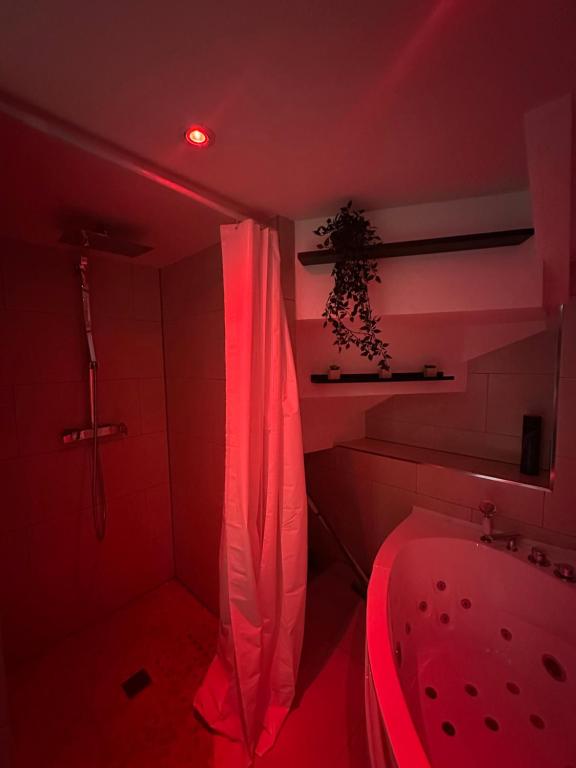 Le 7 - Appartement cosy souplex 4 personne Mulhouse centre - stationnement gratuit – photo 10