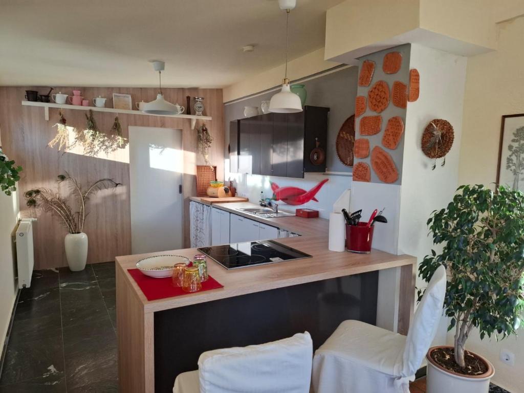 Kuchyň nebo kuchyňský kout v ubytování Wohnung in Kärnten Nähe Millstättersee