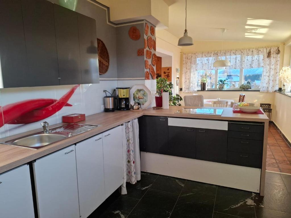 Kuchyň nebo kuchyňský kout v ubytování Wohnung in Kärnten Nähe Millstättersee