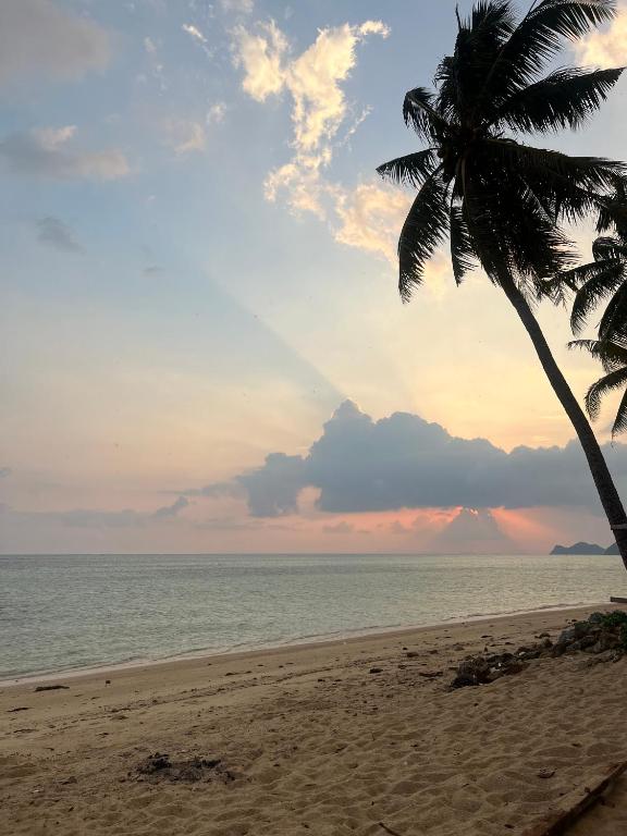 una palmera en una playa con el océano en Beach Bungalows, en Thong Sala