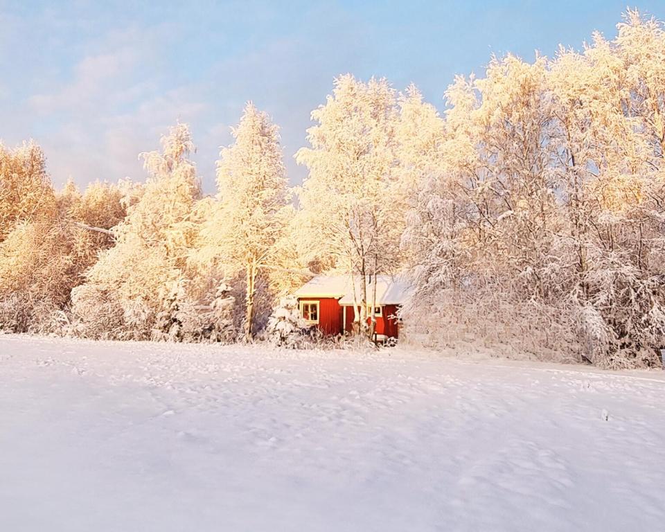 a small red cabin in a snow covered forest at Ferienhaus im schönem historischem Ångermanland in Sundmo