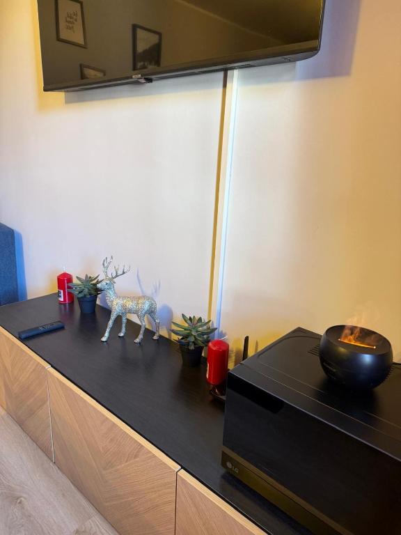 Kuchyň nebo kuchyňský kout v ubytování A&S Chalet delle Alpi