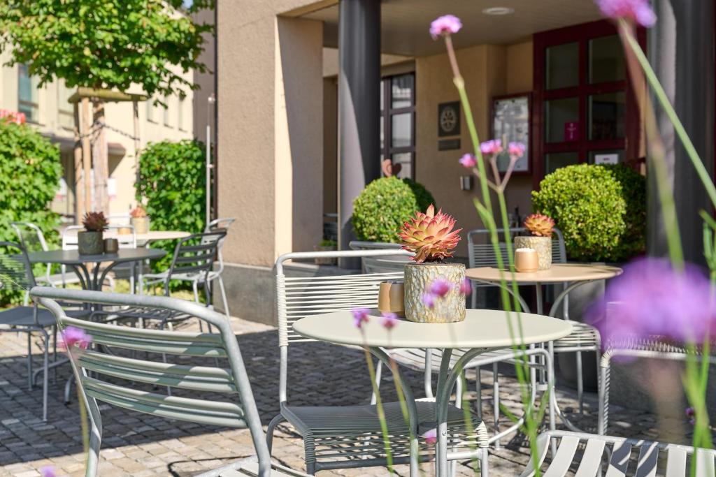 Zahrada ubytování Hotel Ochsen