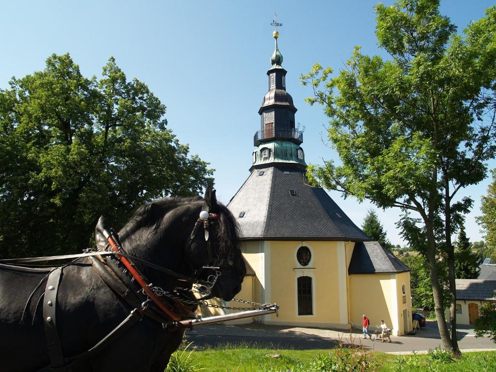 Zvířata v hotelu nebo okolí