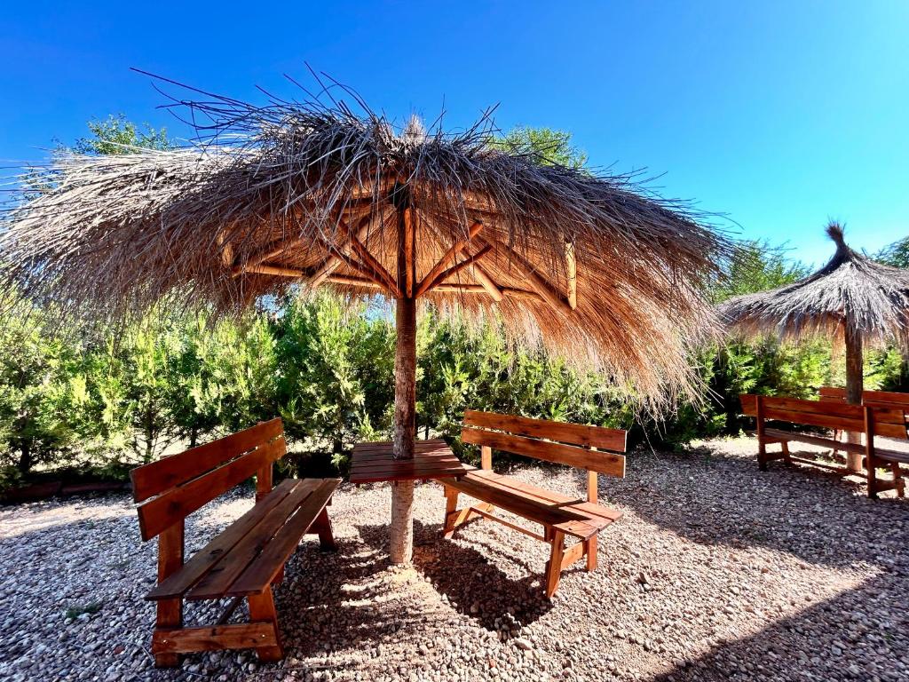 Carpe Diem Cabañas en Panaholma