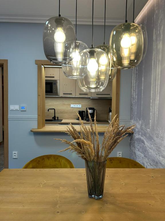 Kuchyň nebo kuchyňský kout v ubytování Luxusní Apartmány Domovjanka - LYSÁ HORA, SMRK, KMÍNEK, SLAVÍČ