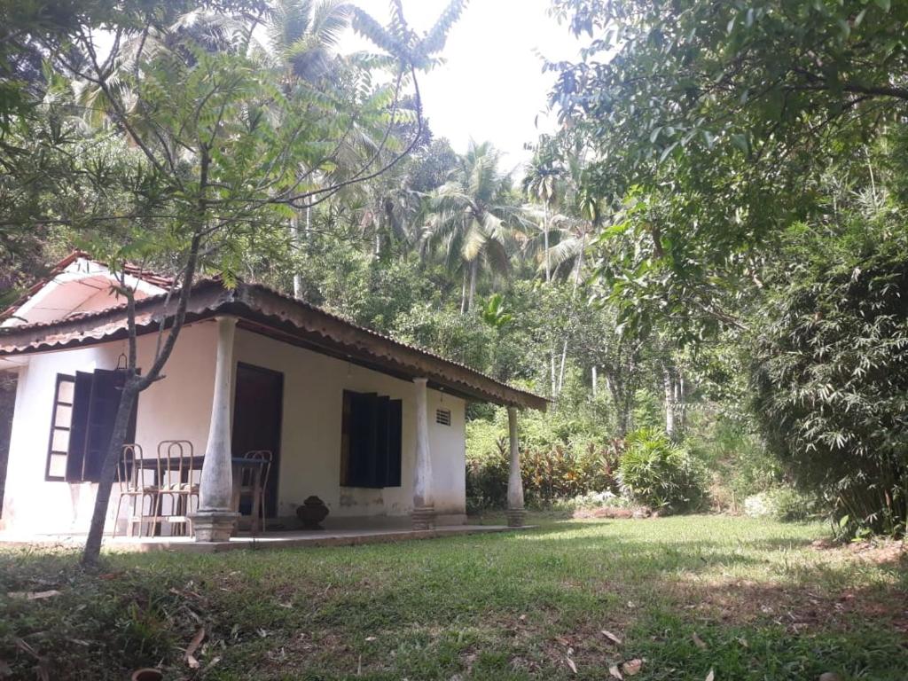 韦利格默Cinnamon Garden的院子中间的小房子