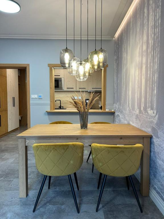Kuchyň nebo kuchyňský kout v ubytování Luxusní Apartmány Domovjanka - LYSÁ HORA, SMRK, KMÍNEK, SLAVÍČ