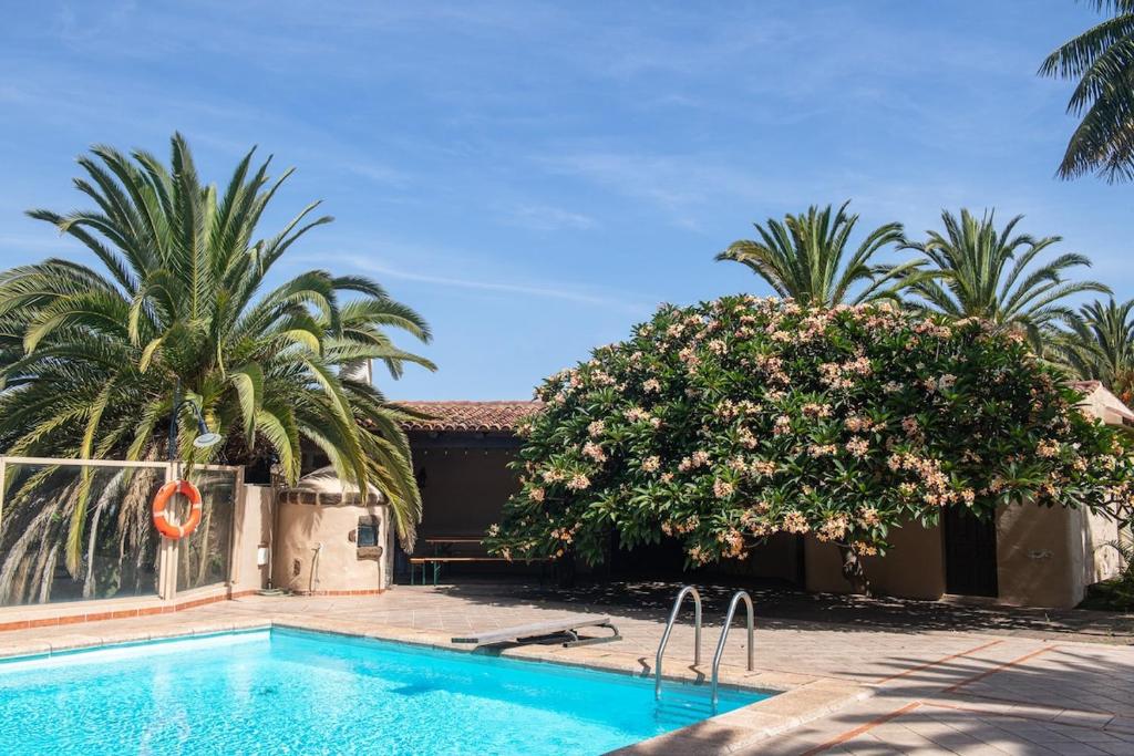 a swimming pool with palm trees and a building at Finca San Diego - Palmeras Apartamento in La Matanza de Acentejo