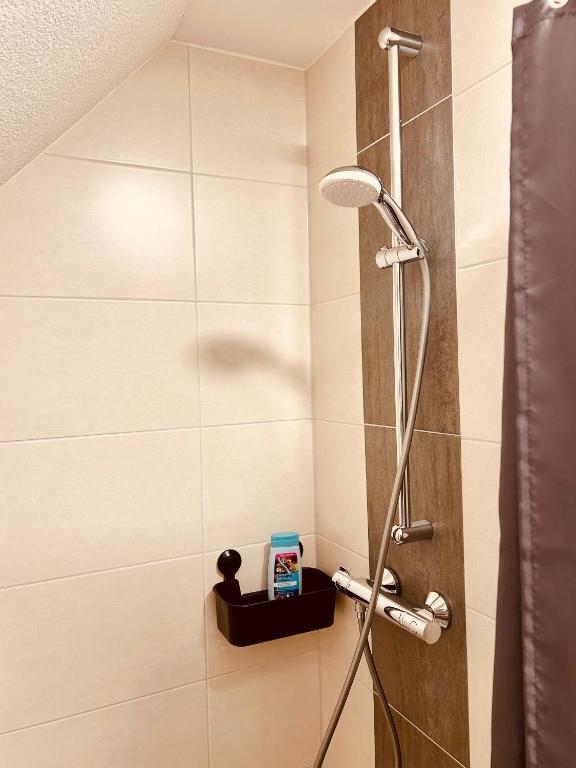 Swiss Apartments Rust - 4