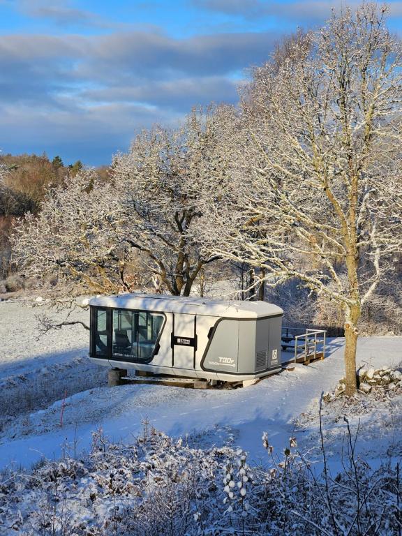 Forest Capsule v zimě