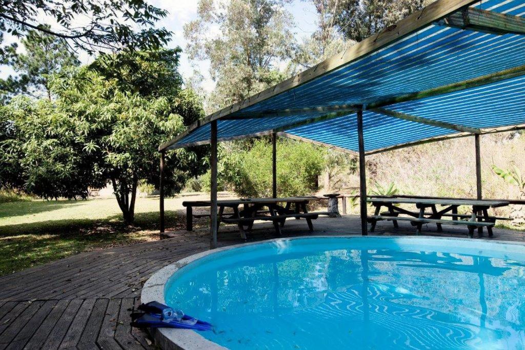 a swimming pool with two benches and a picnic table at Triton Dive Lodge (Pty) Ltd in Sodwana Bay