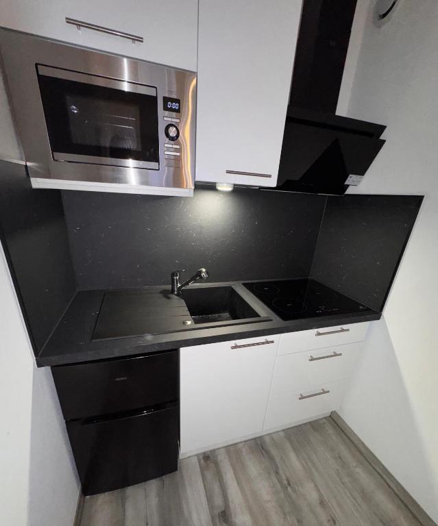 une cuisine avec un évier et un micro-ondes dans l'établissement Marechaux, à Mulhouse