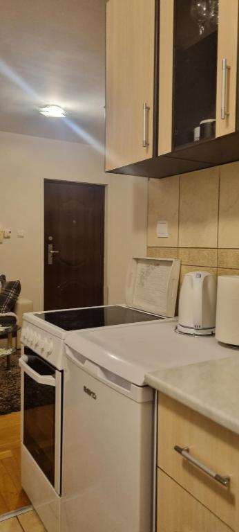 Kuchyň nebo kuchyňský kout v ubytování Apartman Bor