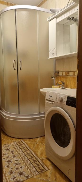 Koupelna v ubytování Apartman Bor