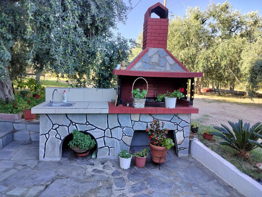Zahrada ubytování Olive's House