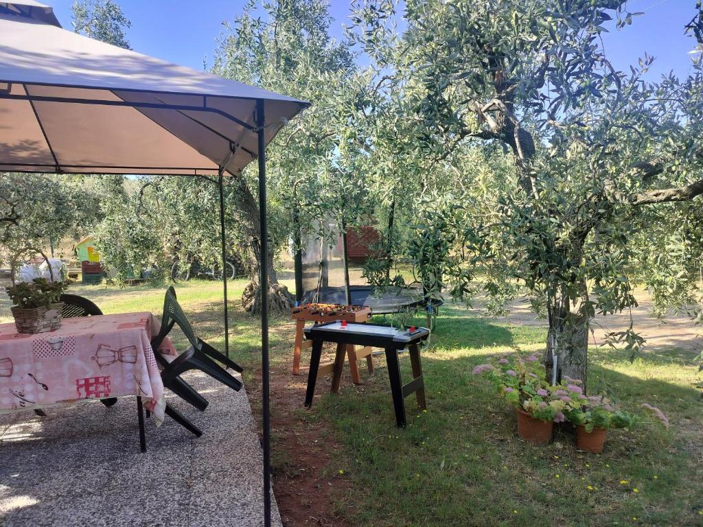 Zahrada ubytování Olive's House