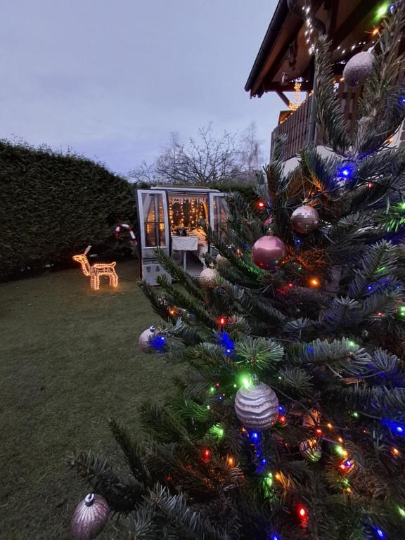 Un arbre de Noël dans la cour d'une maison dans l'établissement la Télécabine studio 4 personnes, à Marnaz