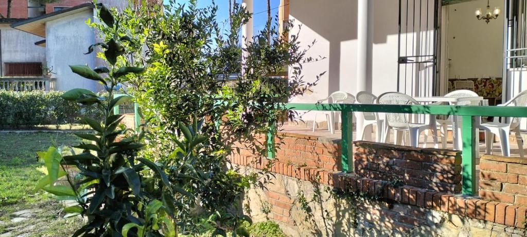 a brick wall with a green railing and a plant at Villa Eusepia, di fronte alla spiaggia di Tirrenia in Tirrenia