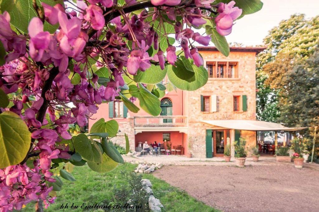 a house with a tree with purple flowers in front of it at Locanda Donna Laura in Imola