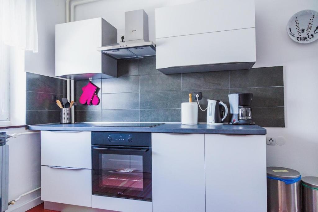 Kuchyň nebo kuchyňský kout v ubytování Apartman Japlenški