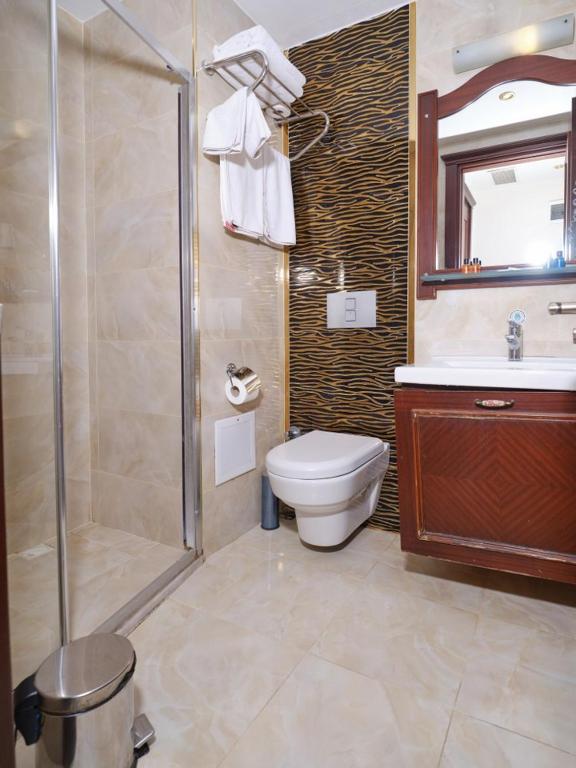 a bathroom with a shower and a toilet and a sink at Istanbul Newcity Hotel in Istanbul