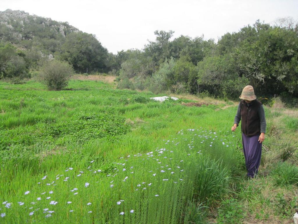 Casita del bosque Tao sierras de Aiguá