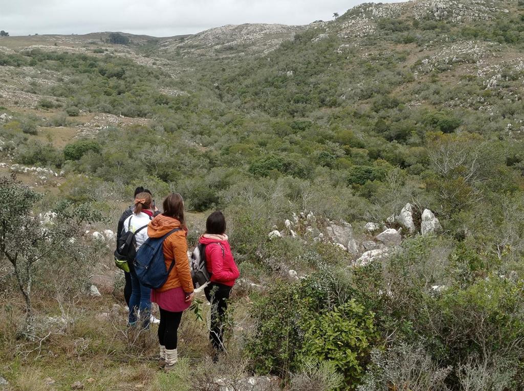 Casita del bosque Tao sierras de Aiguá