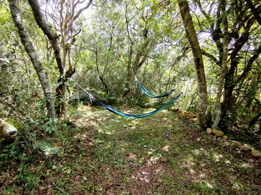 Casita del bosque Tao sierras de Aiguá
