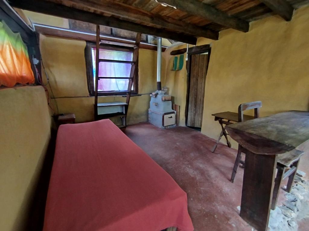 Casita del bosque Tao sierras de Aiguá