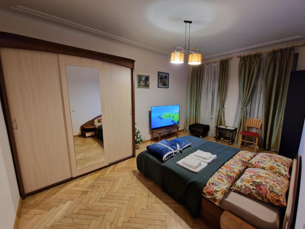 TV a/nebo společenská místnost v ubytování Kaunas Center Apartment