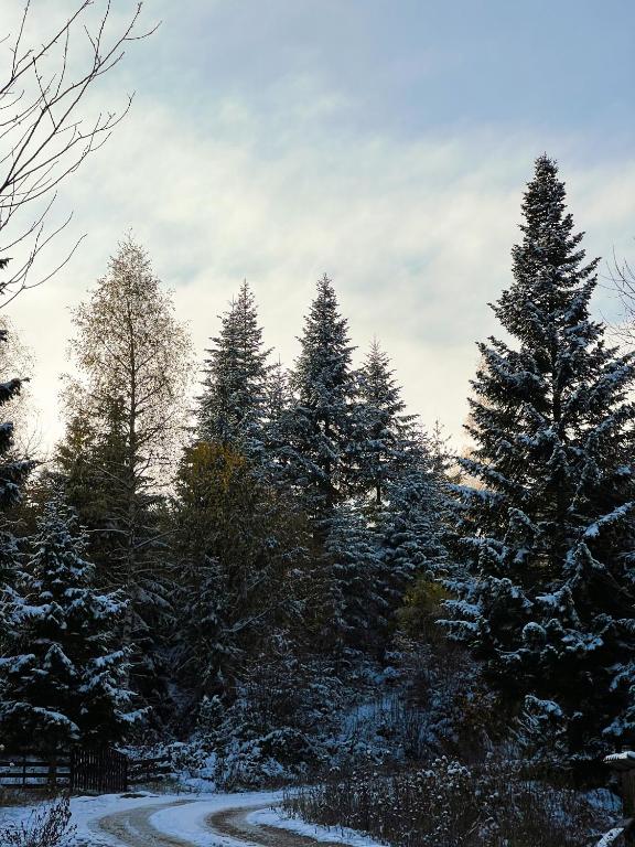 Nord Hill - Zlatar Hill - kuća za odmor v zimě