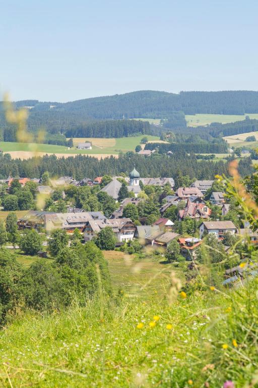 Ferienhaus Frei 1 Hinterzarten - 16